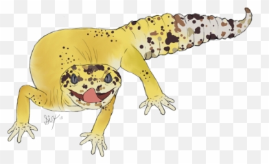 Loki The Leopard Gecko - Kartun Leopard Gecko Png,Leopard Gecko Png