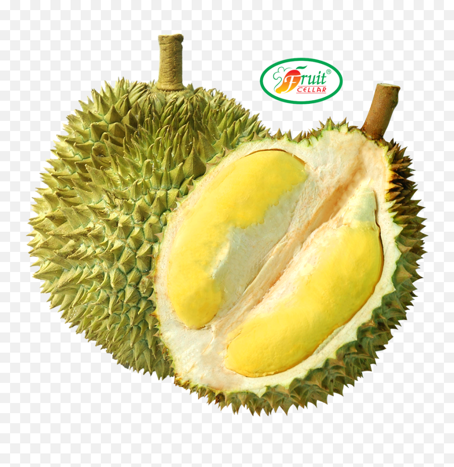 Download - Durian Png,Durian Png