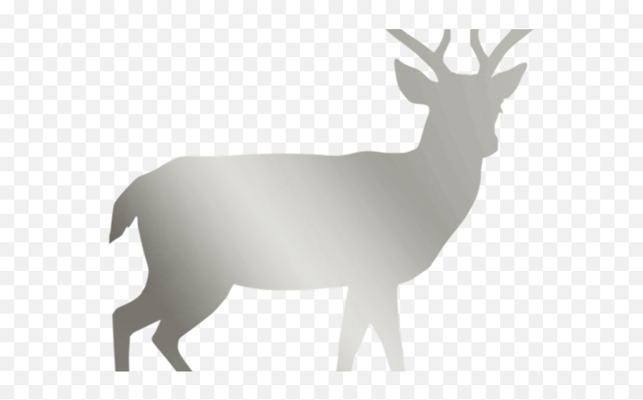 White Tailed Deer Clipart Clear Background - Doe Silhouette Vector Transparent Deer Silhouette Png,Doe Png