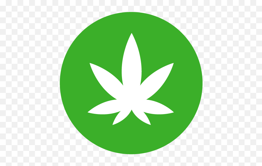 Dutch Cannabis Law Explained Edited For Stoned Readers - Weed Design Png,Stoned Icon