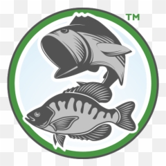 Tennessee Twra Portal Website - View Package Aquarium Fish png