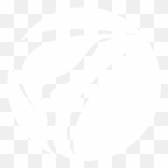 Orange County Podiatrists - Foot Doctors OCFeetcom Dot png