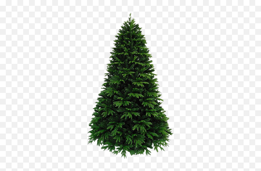 Artificial Christmas Tree Png Free Download Mart - Franklin Pine,Free Tree Png