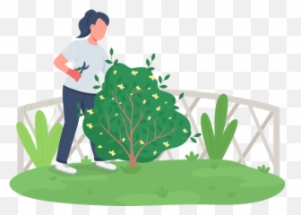 Bush Illustrations Images U0026 Vectors - Royalty Free Gardening Service At Home Clipart png