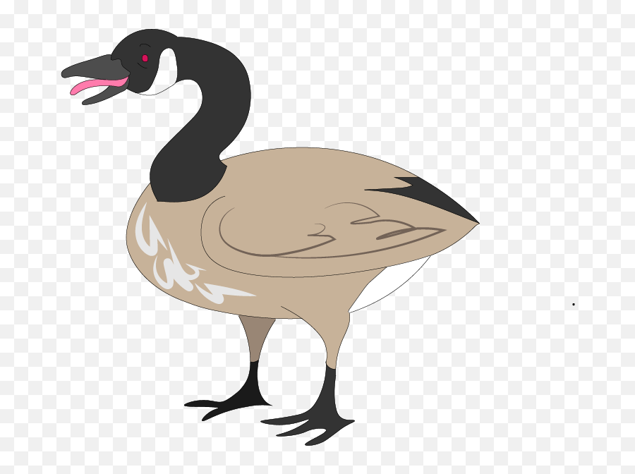 Canada Goose Illustrated For A North By - Canada Goose Clipart Mad Png,Goose Transparent