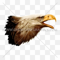 Side View Eagle Head - Eagle Side View Png,Eagle Head Png