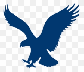 Save Eagle Png Transparent Background Free Download 17417