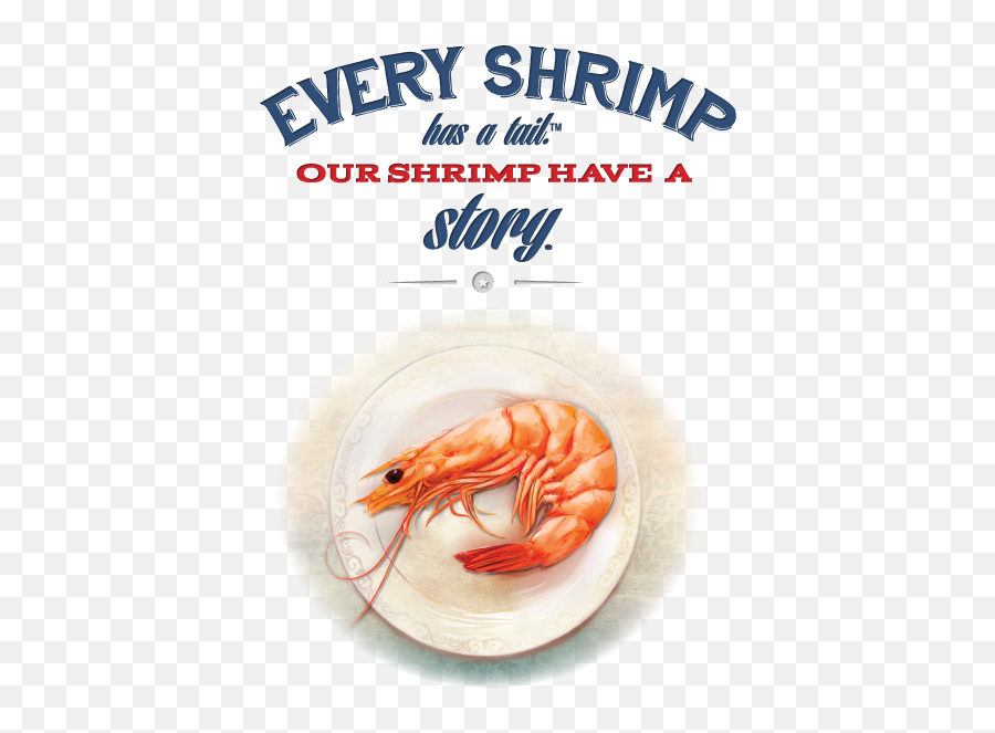 Why Buy American Wild Shrimp Processors - American Shrimp Png,Shrimp Png