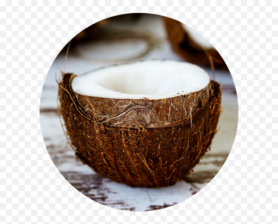 Coconut Oil Raw Apothecary - Hindistan Cevizi Nasl Yenir Png,Coconut Png