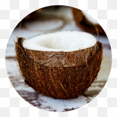 Coconut Oil Raw Apothecary - Hindistan Cevizi Nasl Yenir Png,Coconut Png