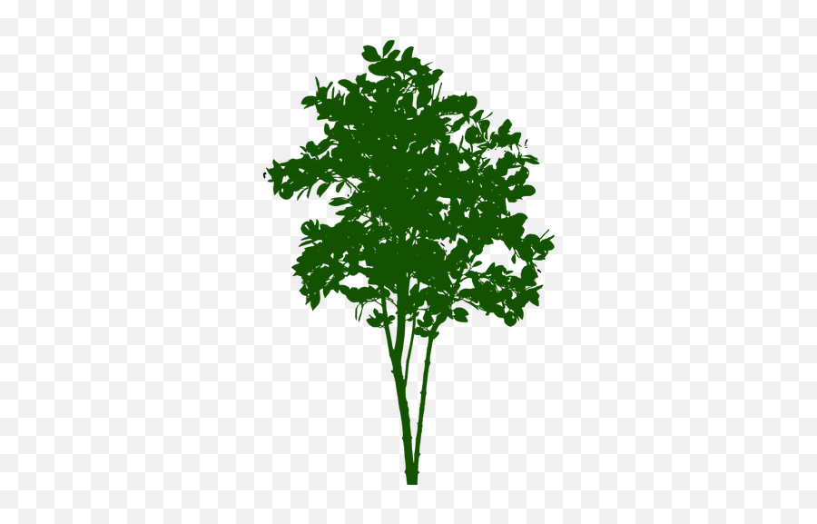 Small Tree Png - Small Tree Symbol Png,Tree Symbol Png