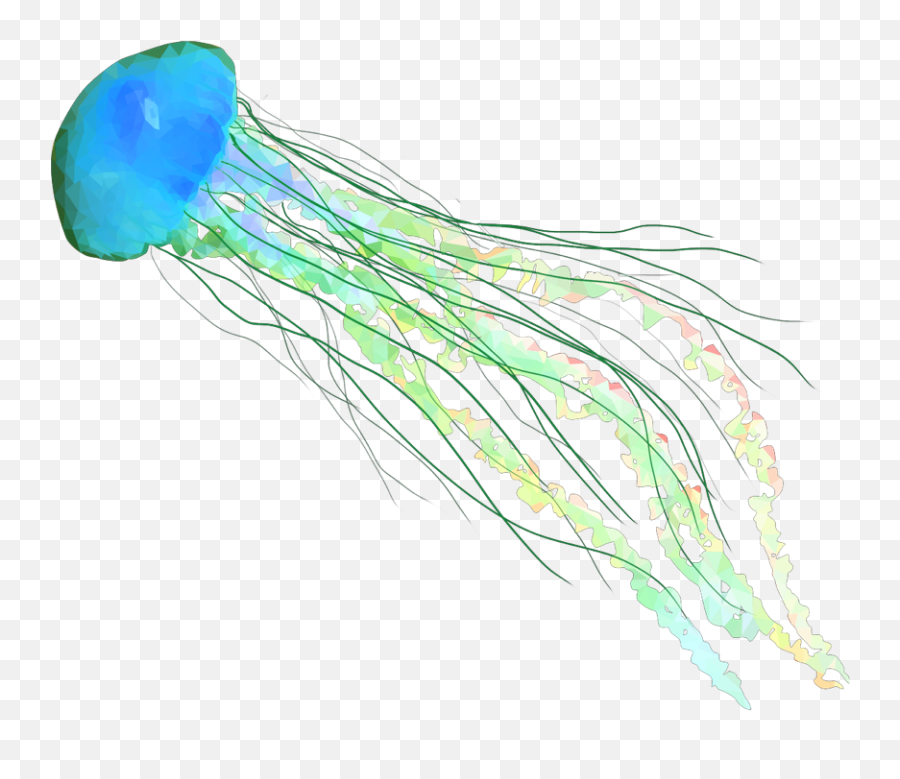 Fish Jellyfish Jellyfishes Ocean Beach - Jellyfish Transparent Background Png,Jellyfish Transparent Background