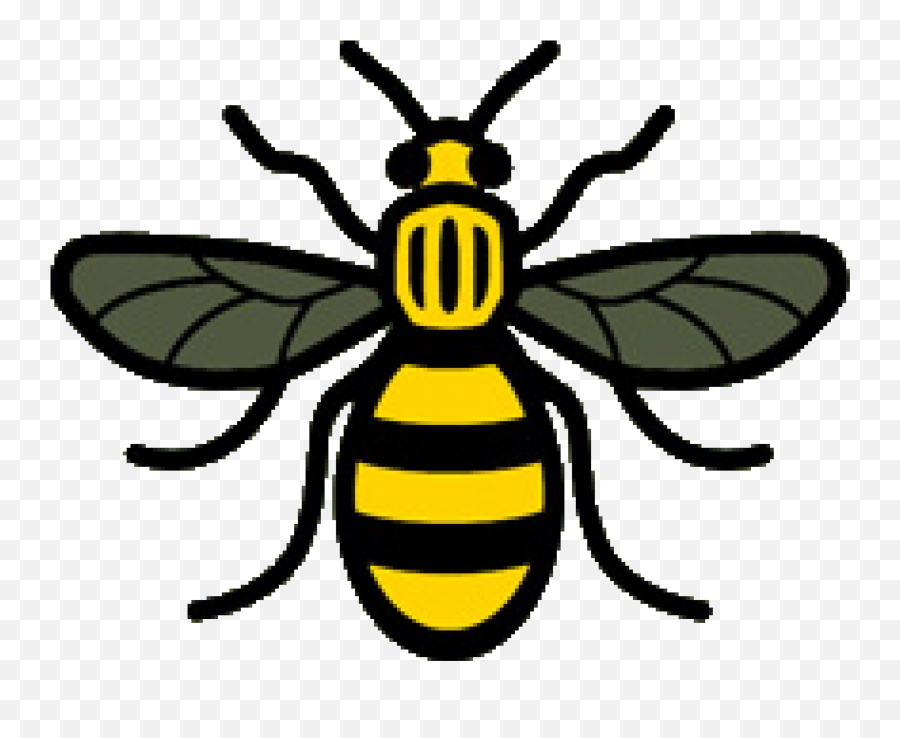Bee Picture Png Images Download Honey - Manchester Worker Bee Logo,Bee Transparent Background