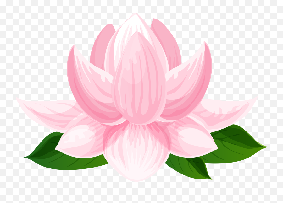Transparent Lotus Flower Clipart - Sacred Lotus Png,Lotus Png