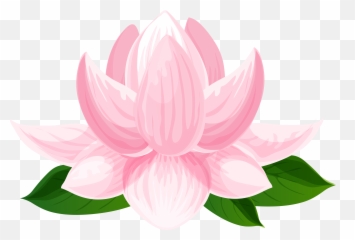 Transparent Lotus Flower Clipart - Sacred Lotus Png,Lotus Png