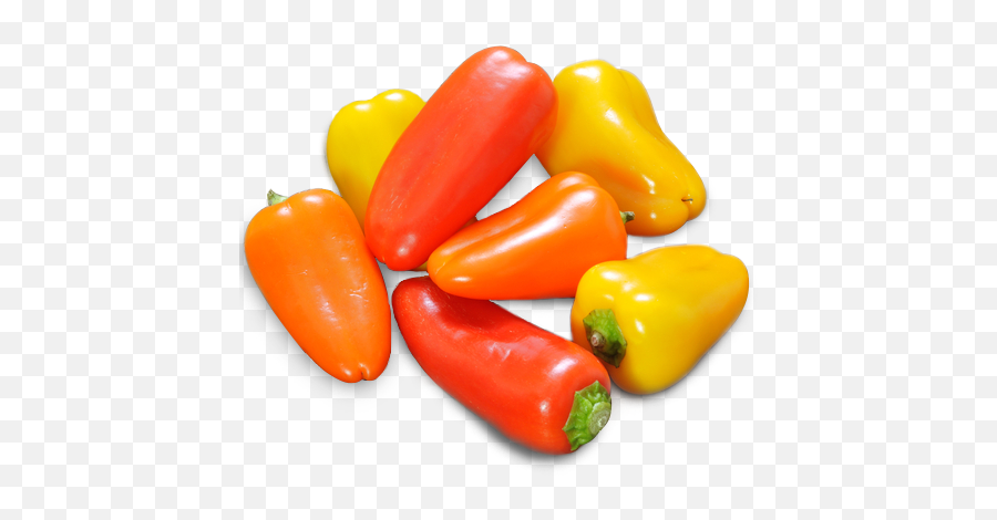 Mini Sweet Bell Peppers Transparent - Habanero Chili Png,Bell Pepper Png