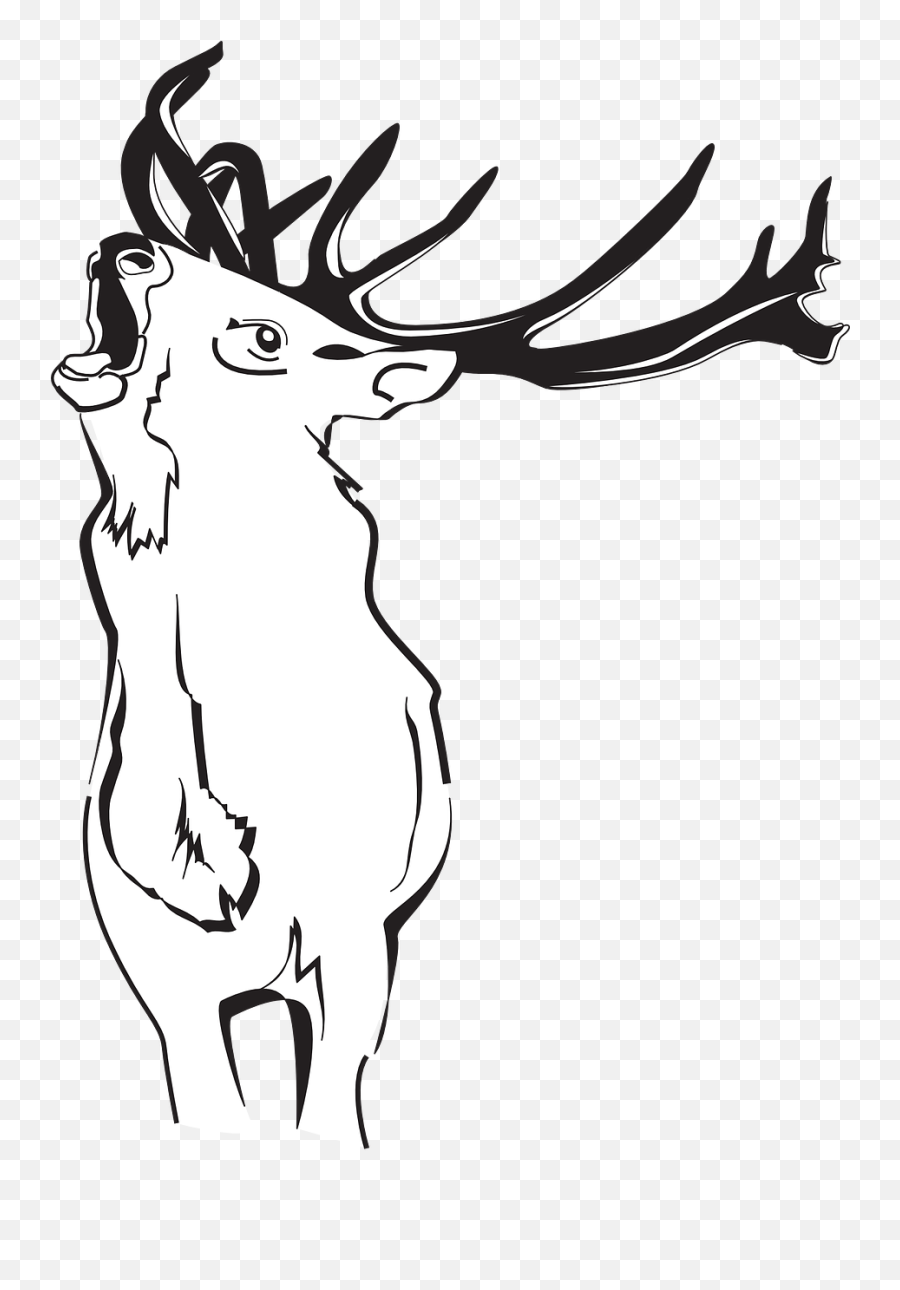 Deer Forest Loud - Free Vector Graphic On Pixabay Deer Png,Antlers Png
