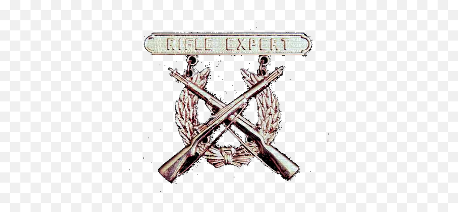 Download Usmc Rifle Expert Badge Png - Marksmanship Badges Technical Drawing,Usmc Png