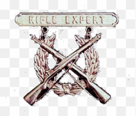 Download Usmc Rifle Expert Badge Png - Marksmanship Badges Technical Drawing,Usmc Png