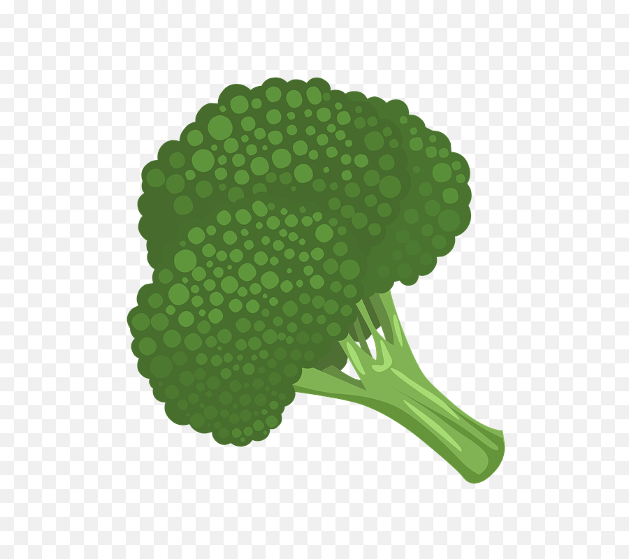 Brocolli Png Download Free Clip Art - Clip Art Broccoli Png,Brocolli Png