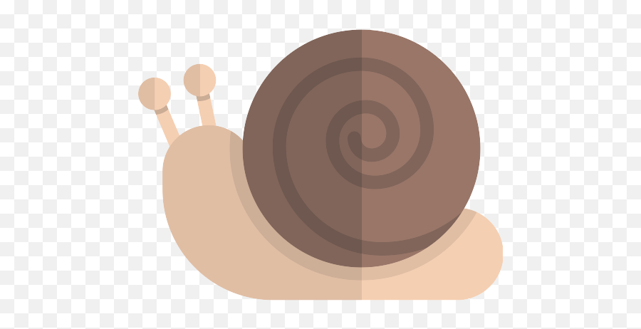 Snail Png Icon 4 - Png Repo Free Png Icons Snail,Snail Png