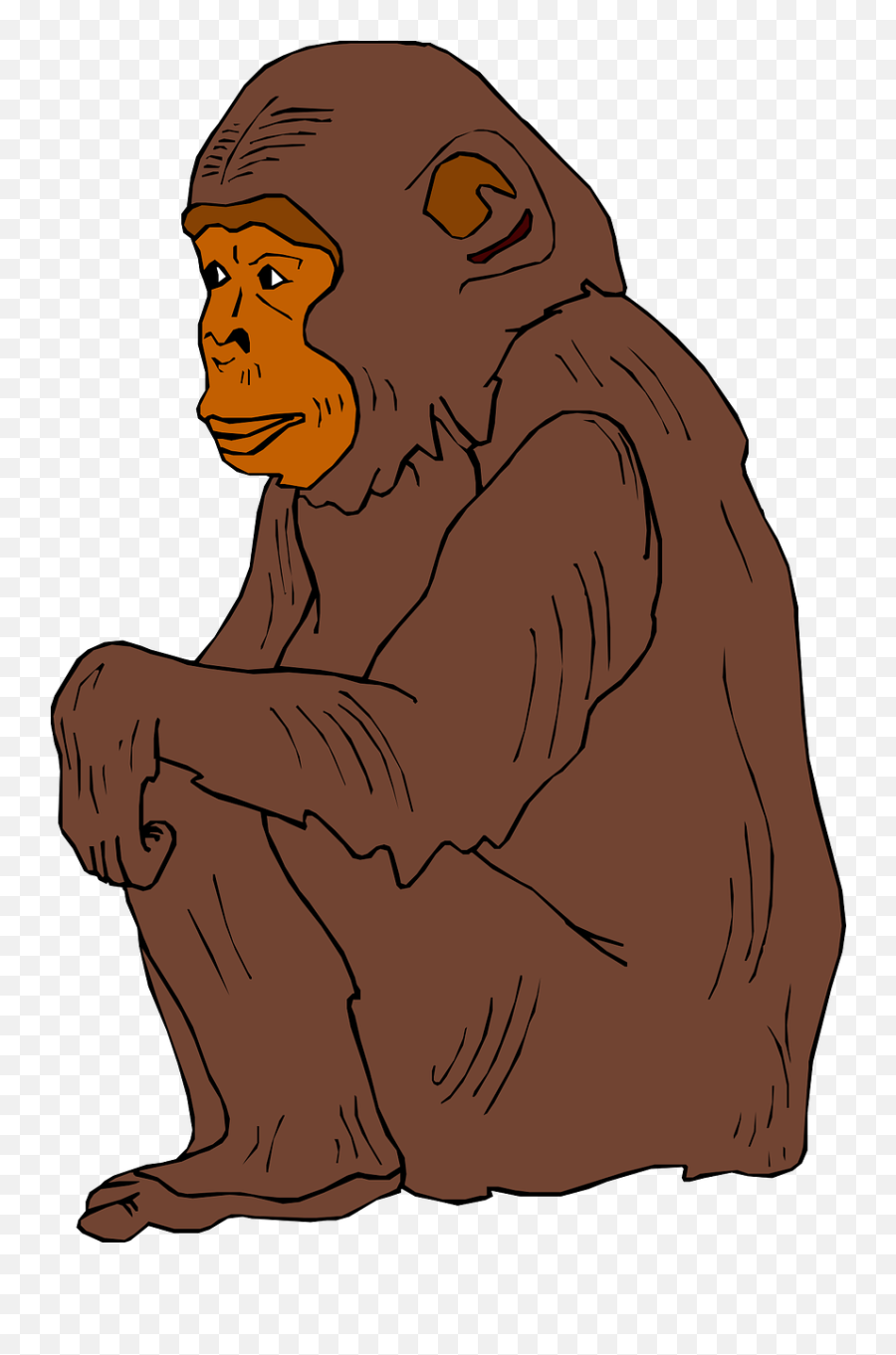 Chimp Brown Sitting - Orangutan Illustrator Png,Chimp Png