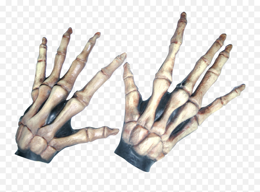 Large Skeleton Hands Bone - Colored Bony Hand Of Skeleton Png,Skeleton Hand Png