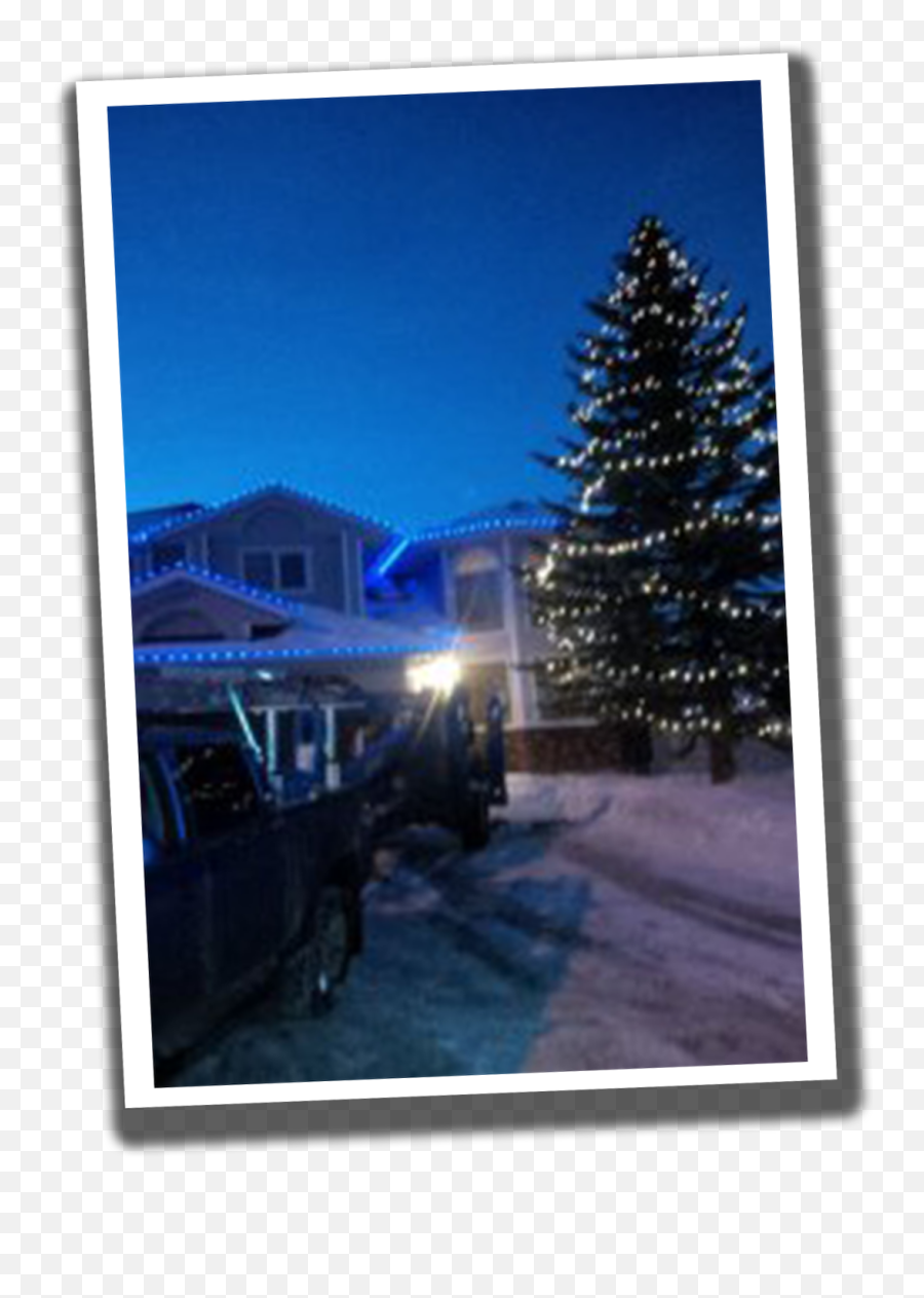 Christmas Lights Installation - Beaumont Heights Residential Christmas Tree Png,Christmas Light Transparent