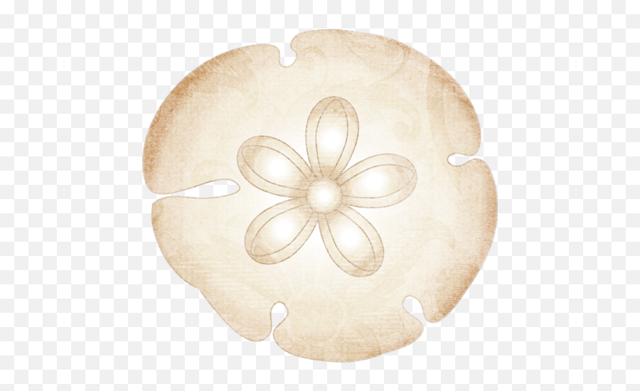 Jpg Transparent Sanddollar Png Paper - Sand Dollars Clip Art,Sand Dollar Png