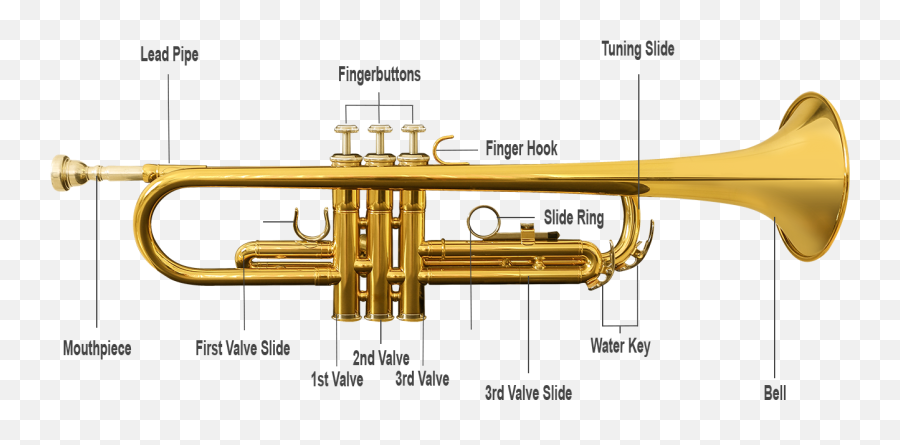 Trumpets Png - Parts Of A Brass Instrument,Trumpet Png