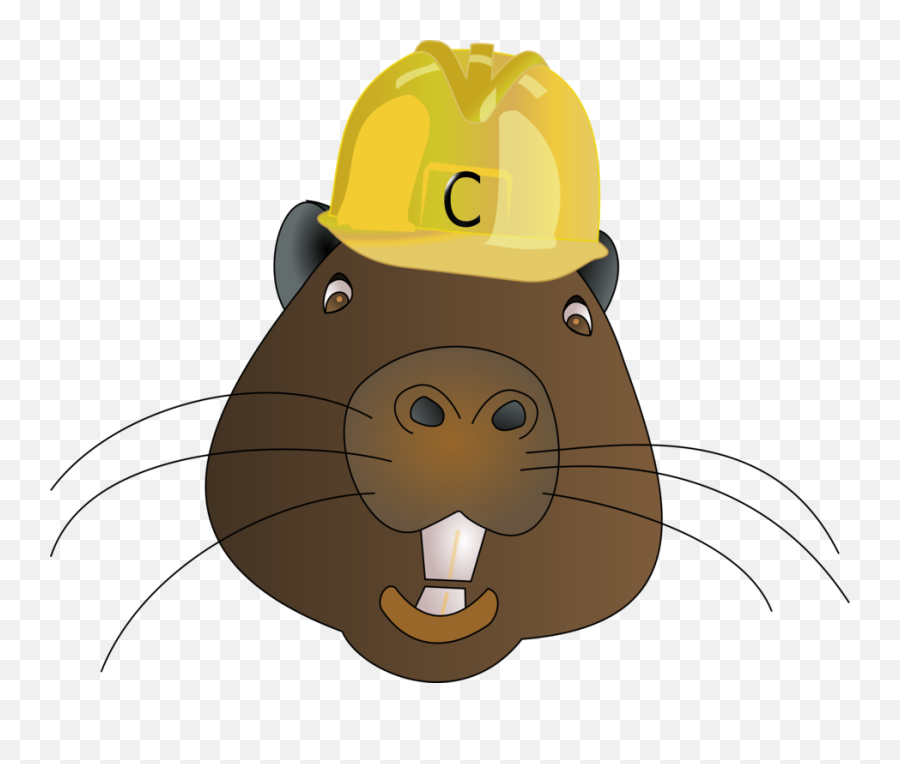 Beaver - Transparentpngimagesfreedownload013 Free Png,Beaver Png