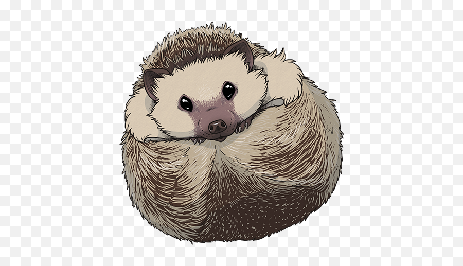 Hedgehog Sticker 1 U2014 Weasyl - Hedgehog Drawing Png,Hedgehog Transparent
