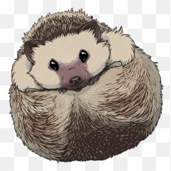 Hedgehog Sticker 1 U2014 Weasyl - Hedgehog Drawing Png,Hedgehog Transparent