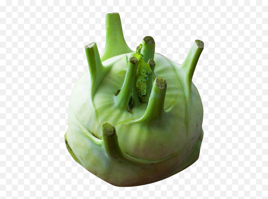 Kohlrabi Png Image For Free Download - Vegetable,Cabbage Transparent Background
