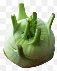 Kohlrabi Png Image For Free Download - Vegetable