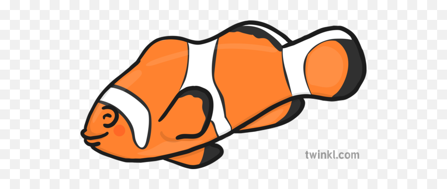 Clown Fish New Illustration - Twinkl Twinkl Fish Png,Clownfish Png