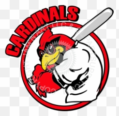 Baseball - Louisville Cardinals Baseball Logo Png,Cardinal Baseball Logos
