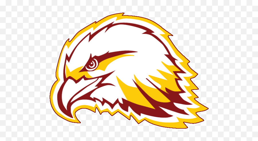 Tohickon Middle School - Automotive Decal Png,Golden Eagles Logos
