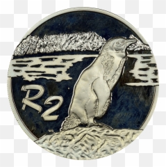 2 Rand South Africa 1998 Silver Proof - Jackass Penguin Bears png
