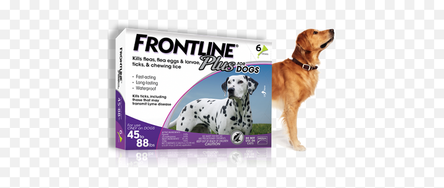 Dual Action Topical Flea U0026 Tick Control For Dogs Cats - Frontline Pets Png,Flea Png