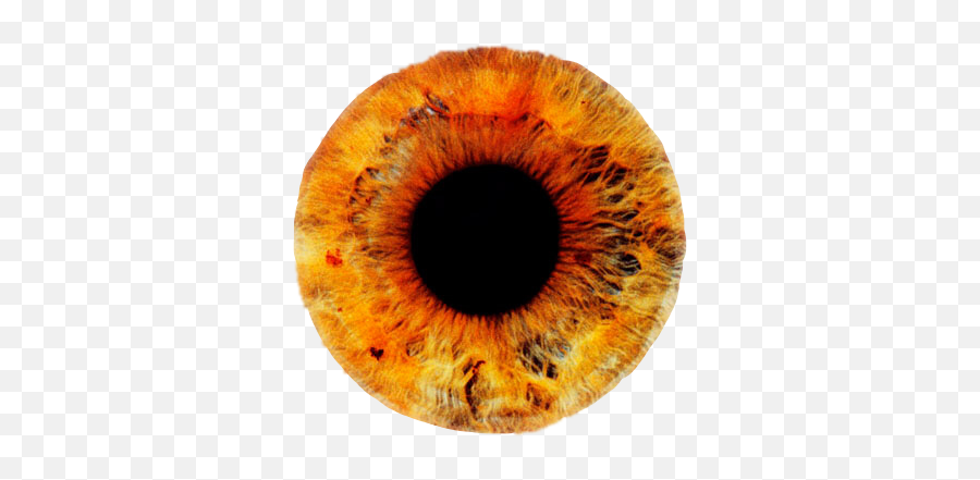 Yellow Red Orange Eye Lens Contactlens Honey Fire Sun - Ice Fire Eye Lens Png,Fire Texture Png