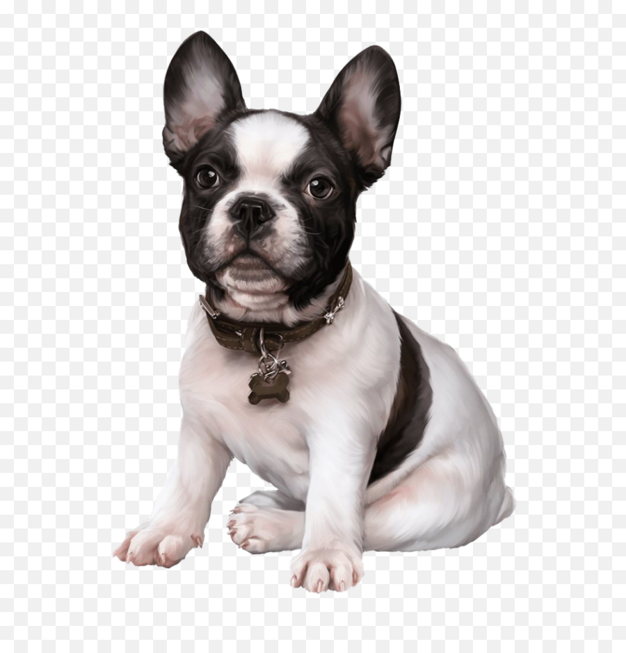 Download French Bulldog Puppy Images Clip Art Cute Dogs - French Bulldog Png Clipart,Dogs Png