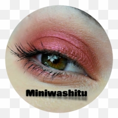 Sunday Swap The Indie Marketplace Sellswap Your Unloved - Sparkly Png,Wet N Wild Color Icon Blush Heather Silk