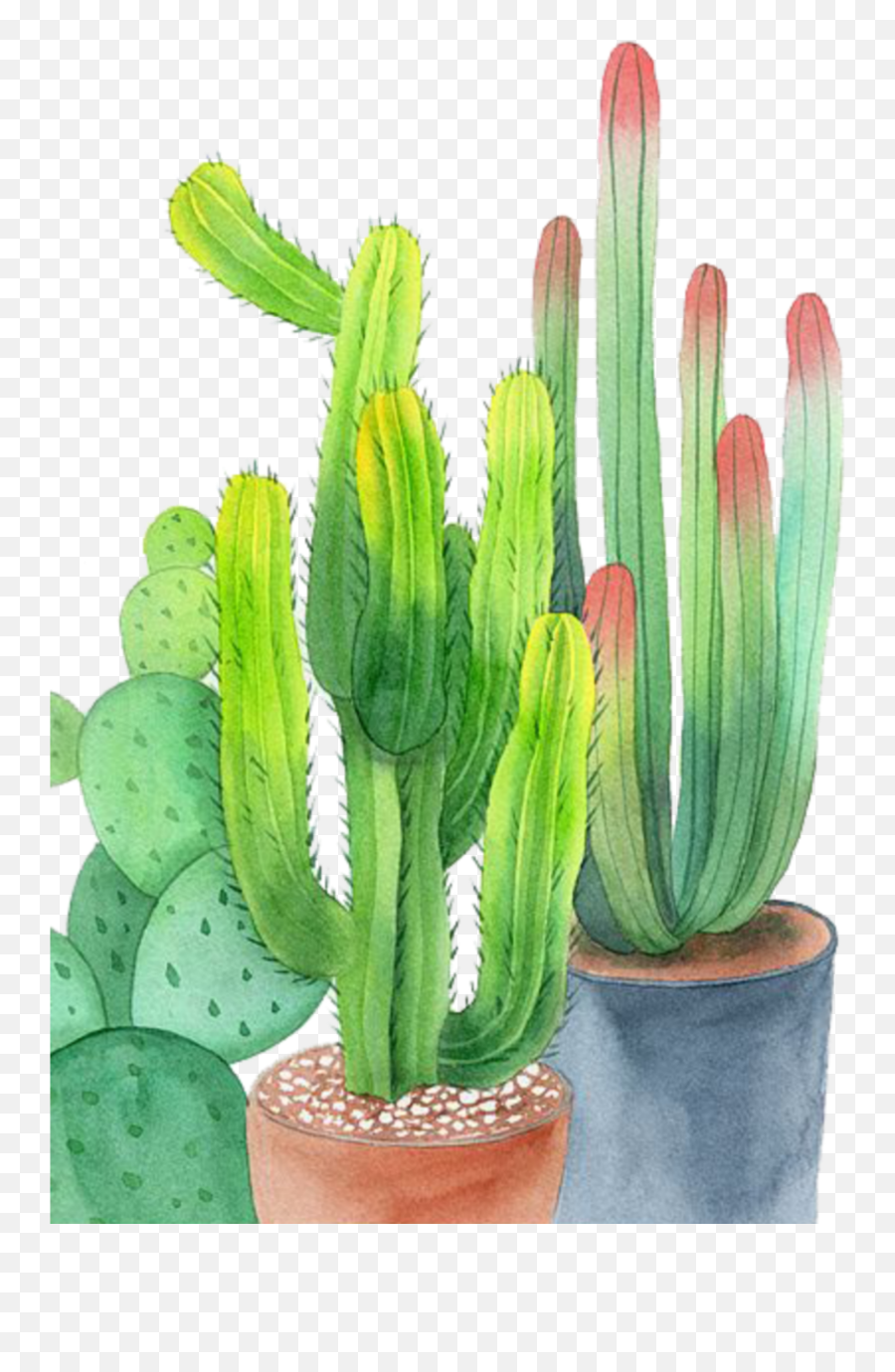 Ftestickers Watercolor Cactus Cacti Potted - Watercolor Cactus Cactus Png,Watercolor Cactus Png