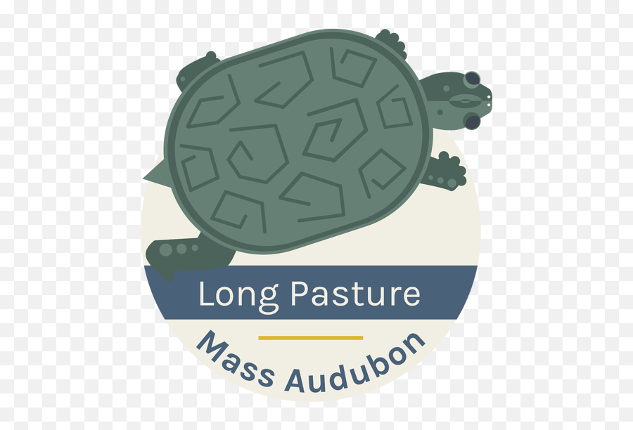 Long Pasture Pin - Tortoise Png,Toroise Icon