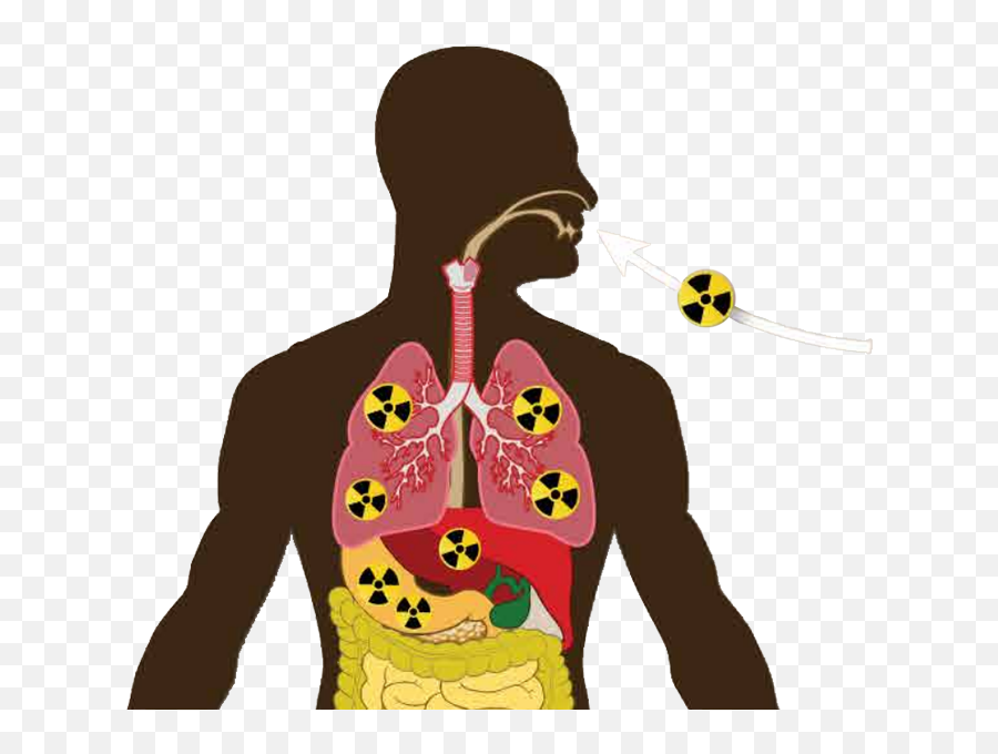 Nuclear Power Plant Accidents Chemicals Radiation And - Nuclear Power Plant Effects On Humans Png,Nuclear Power Plant Icon