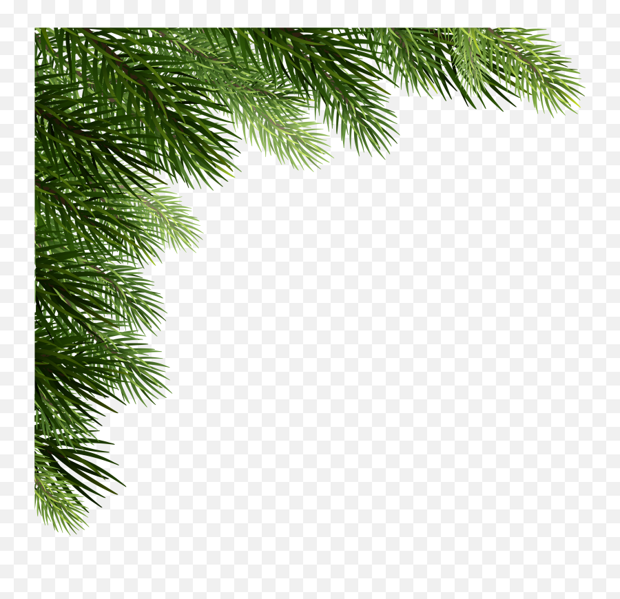 Christmas Pine Png - Corner Christmas Tree Png Transparent Christmas Pine Png,Pine Trees Png