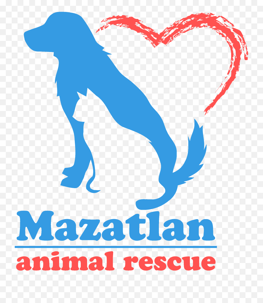 Home Mazatlan Animal Rescue Png Animals Transparent Background