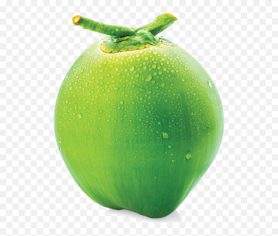 Coconut - Plum Tomato Png,Coconut Png