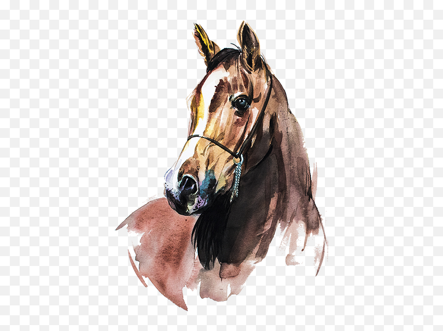 Pngsector - Watercolor Horse Clipart Png,Horse Clipart Png